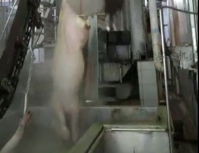 立式洗主机价格 立式洗主机价格