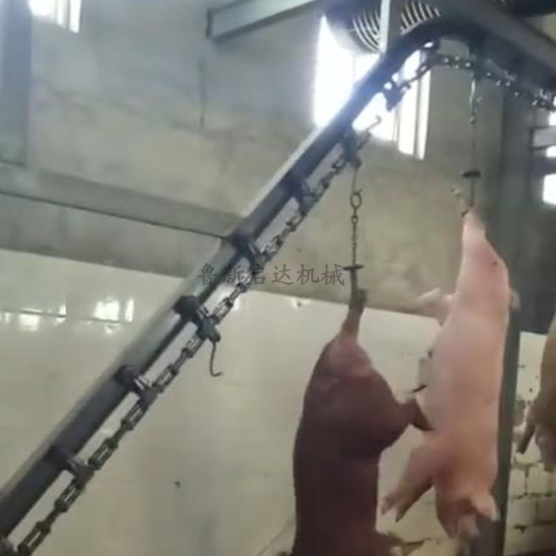 生猪活挂机 生猪活挂机